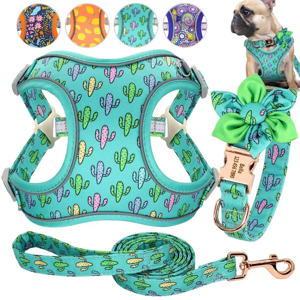 PrintedDogCollarLeashHarnessPersonalizedCustomizedDogCollarPet
