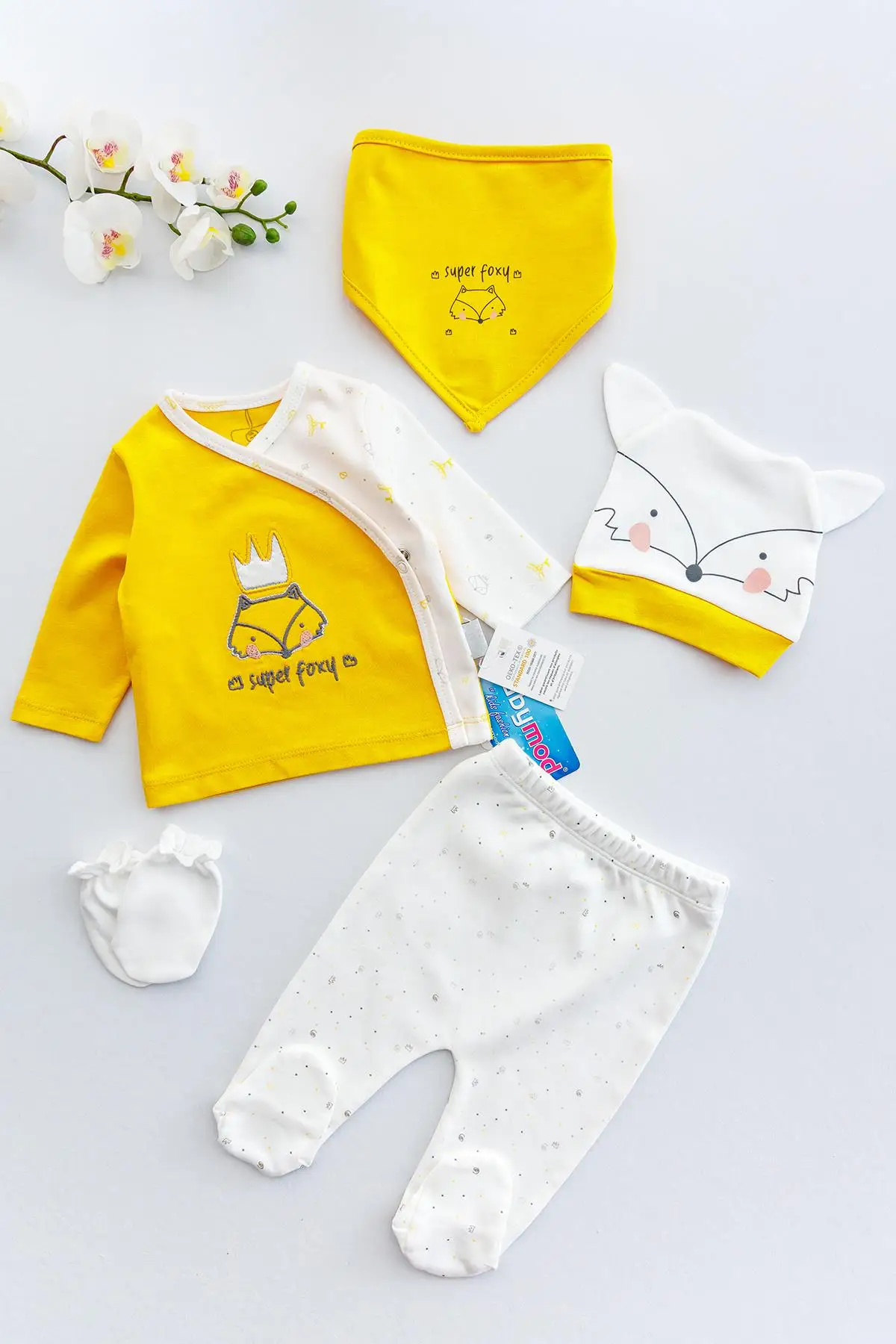 Fox Themed Organic 5 Piece Baby Boy Hospital Outlet Set |