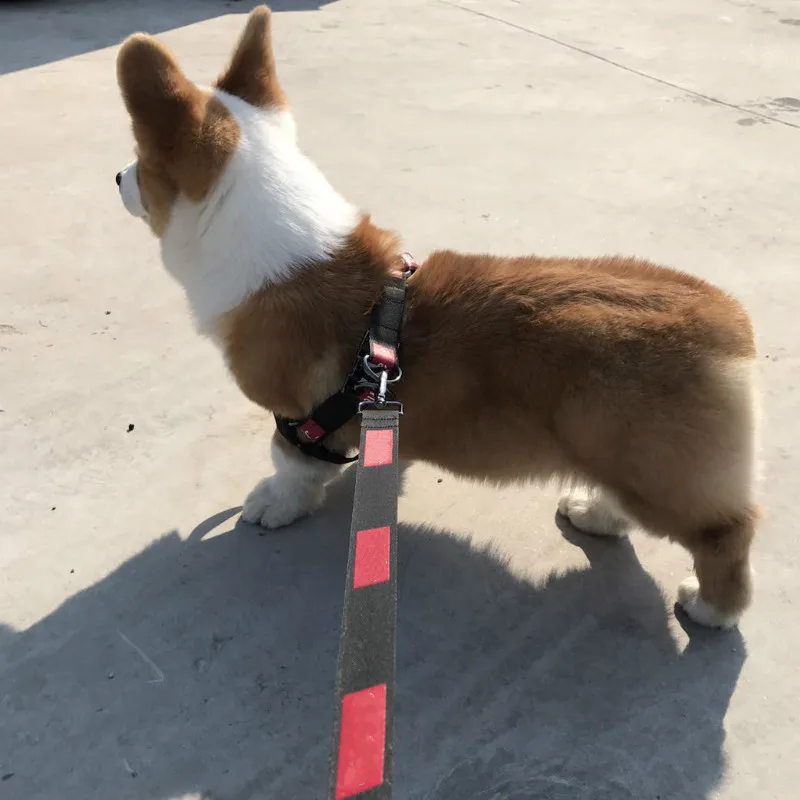 

Original custom style logo metal buckle material suitable for strong and durable dog leash dog chain chest back collar Bulldog