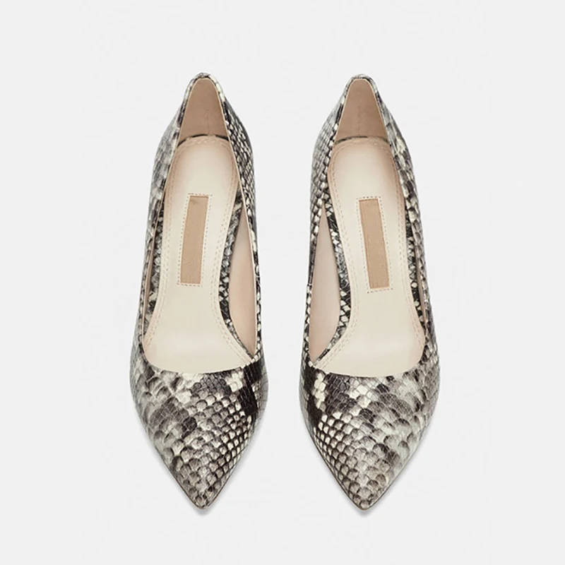 Culebra De Que Color Son Los Zapatos De Serpiente Víbora Zapatos