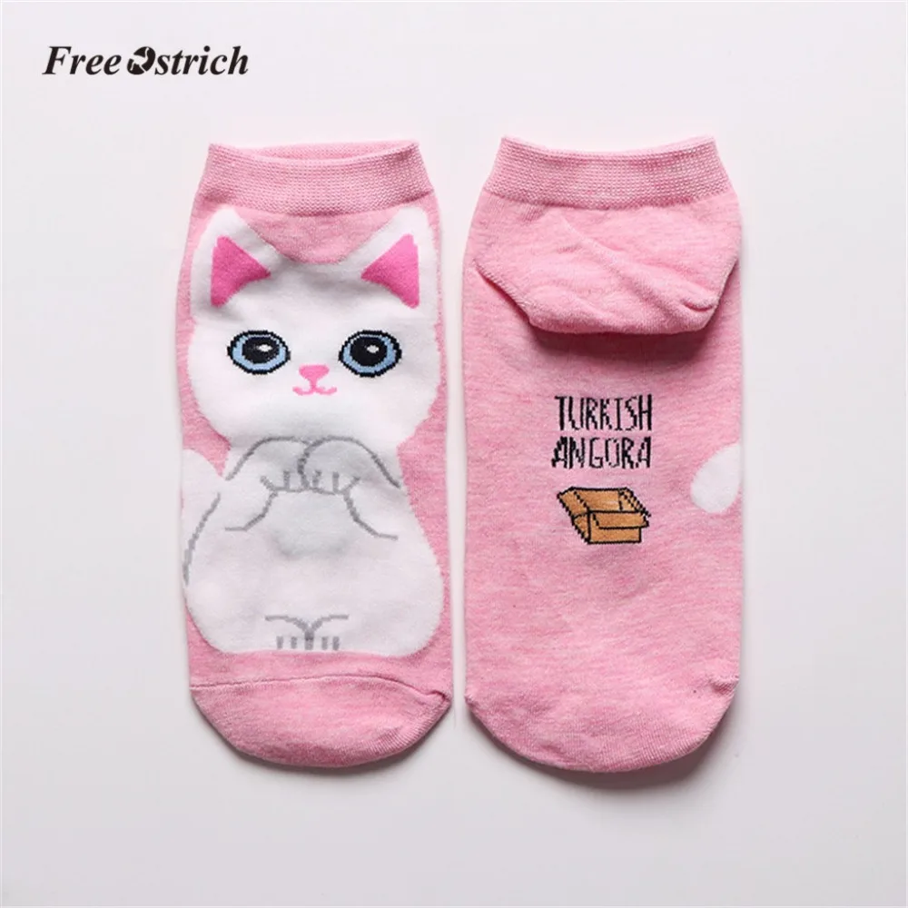 10 - YQT90309192_2019030909451240112