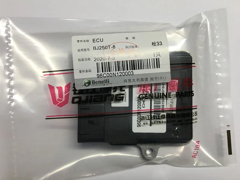 BJ250T-8 ECU (2)