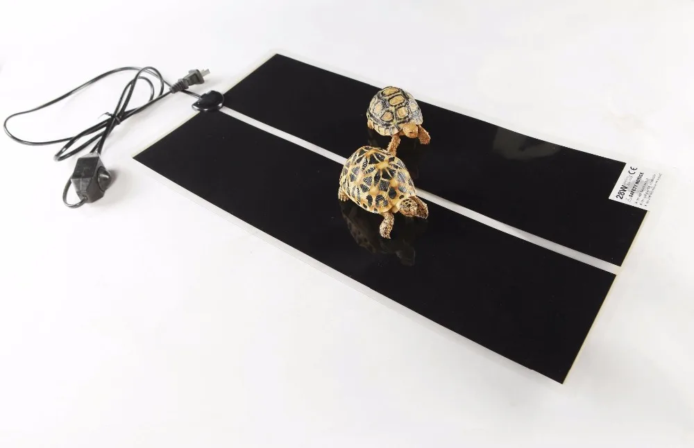 12745241341_707455382