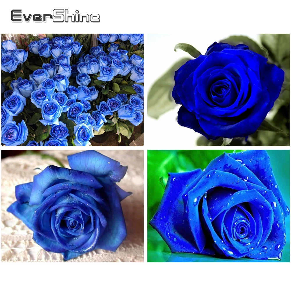 Evershine 5D DIY алмазная вышивка цветы Полная площадь стразы мозаика Роза крестиком