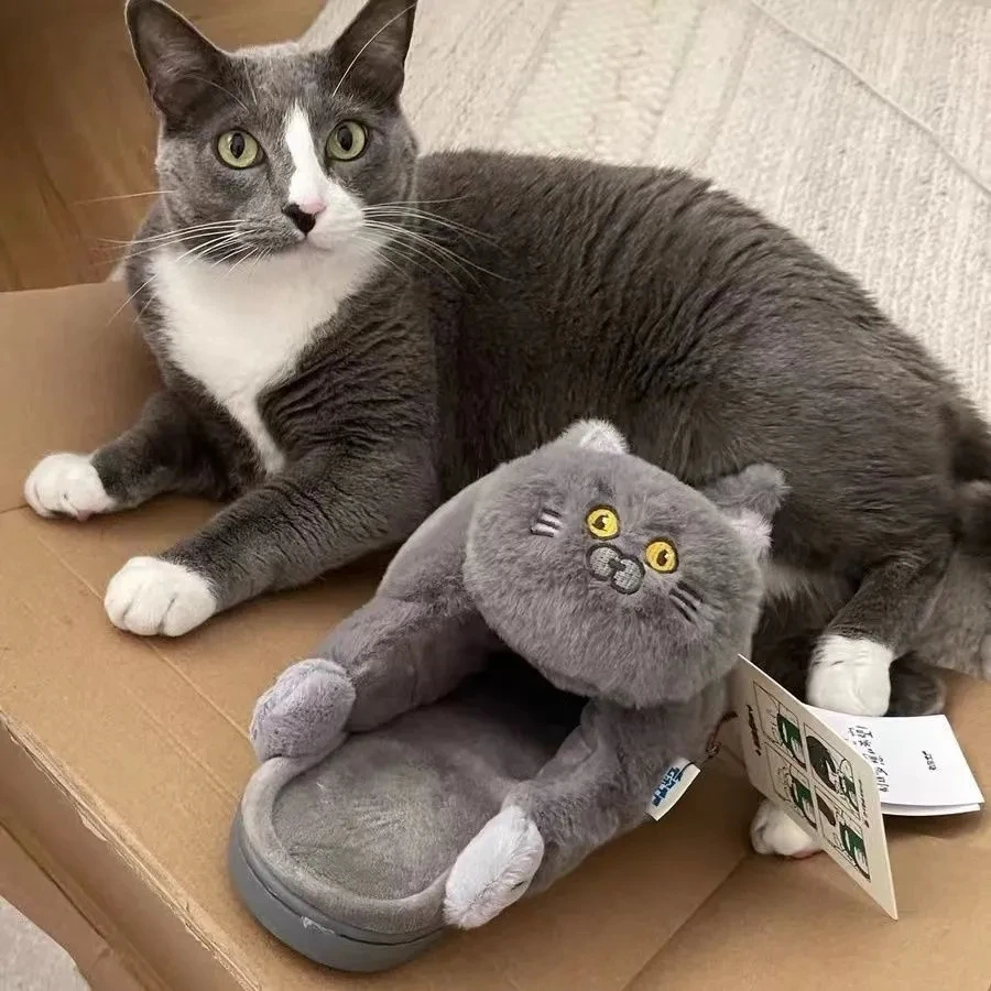

Women Hug Cat Slippers With Unique Design for Winter Female Indoor Floor Kawaii Shoes Slippers Fun Cute Cat Girls Gift Slippers
