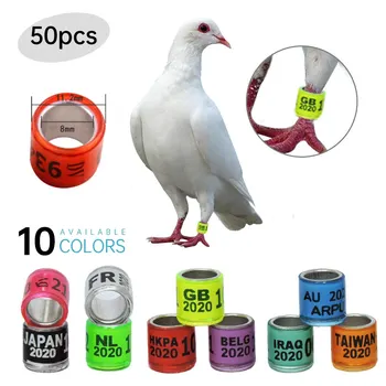 

50pc Foot Rings With Word Earrings 2020 Quality Durable Birds Ring Pheasant Foot Ring Multicolor Bird Tool