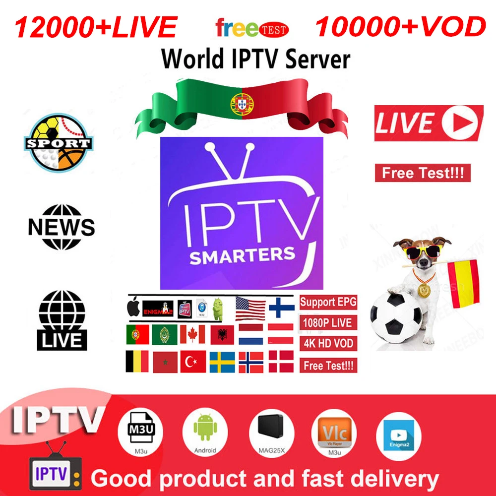 

IPTV Smarters M3u list Sweden Norway Greek Finland Germany Poland IPTV Subscription Belgium Dutch Canada Albania Smart IPTV