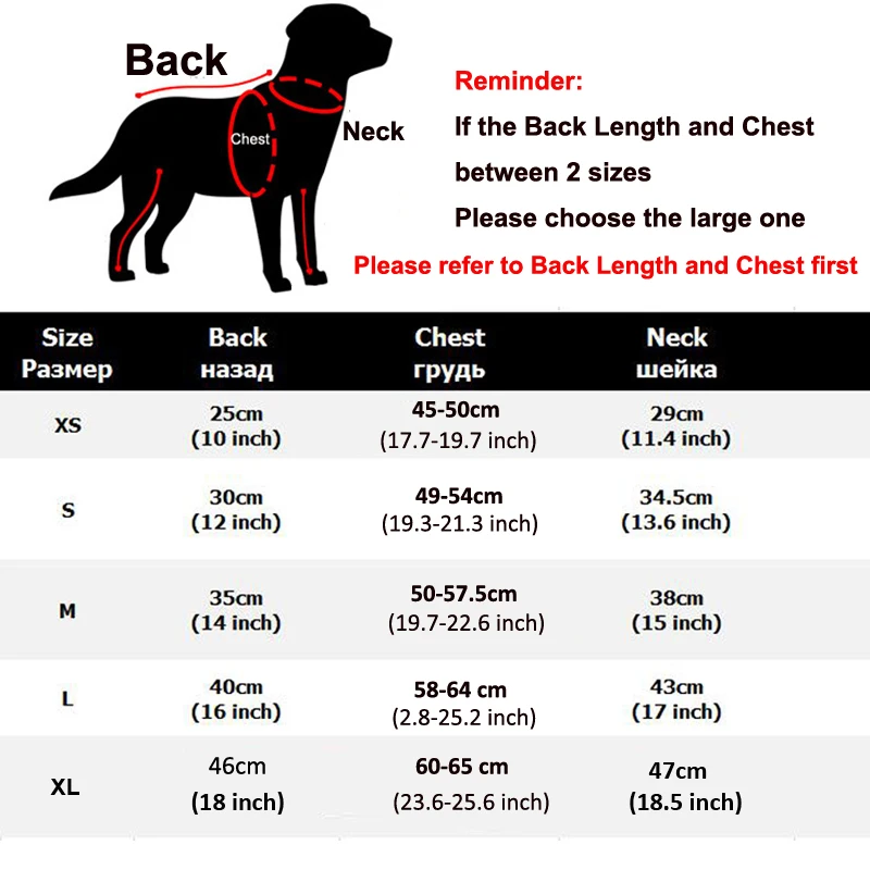 H646cee43256746b79a382a5cf97331b9e