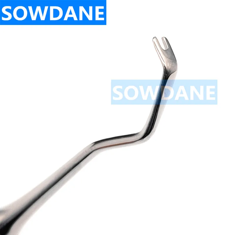 IMG20200917124534_副本_副本