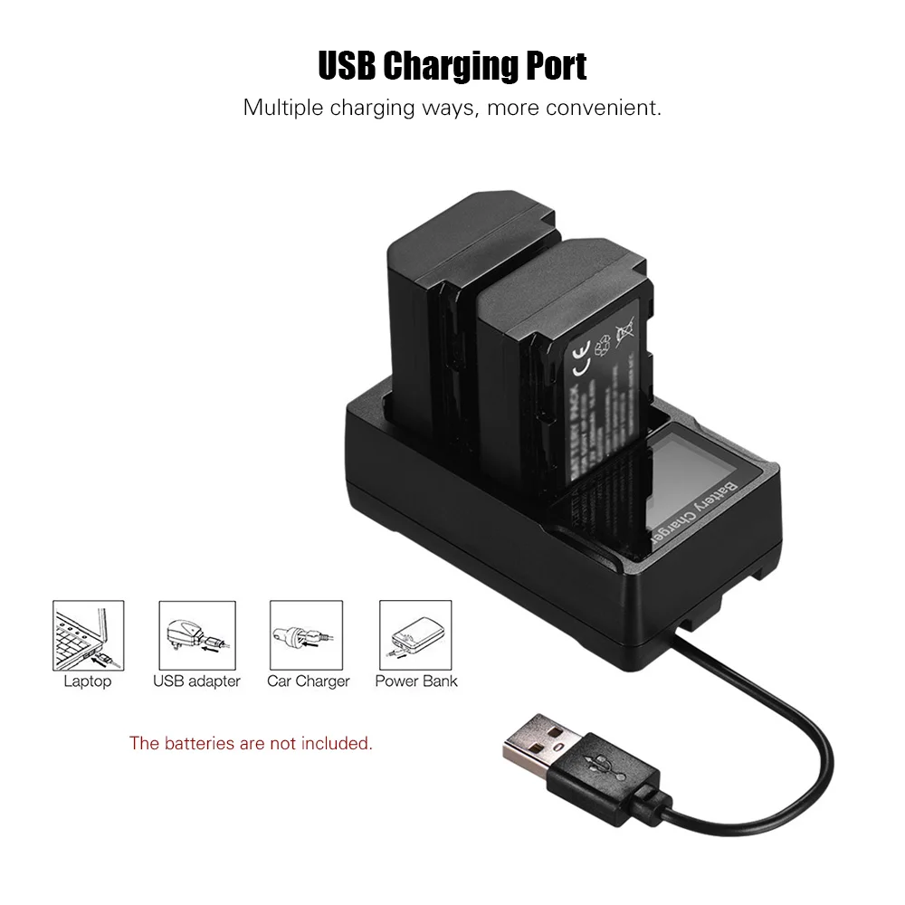 Портативный двойной слот USB зарядное устройство для камеры с ЖК-дисплеем быстрое зарядное устройство для камеры для Nikon Canon батарея для Sony зарядное устройство