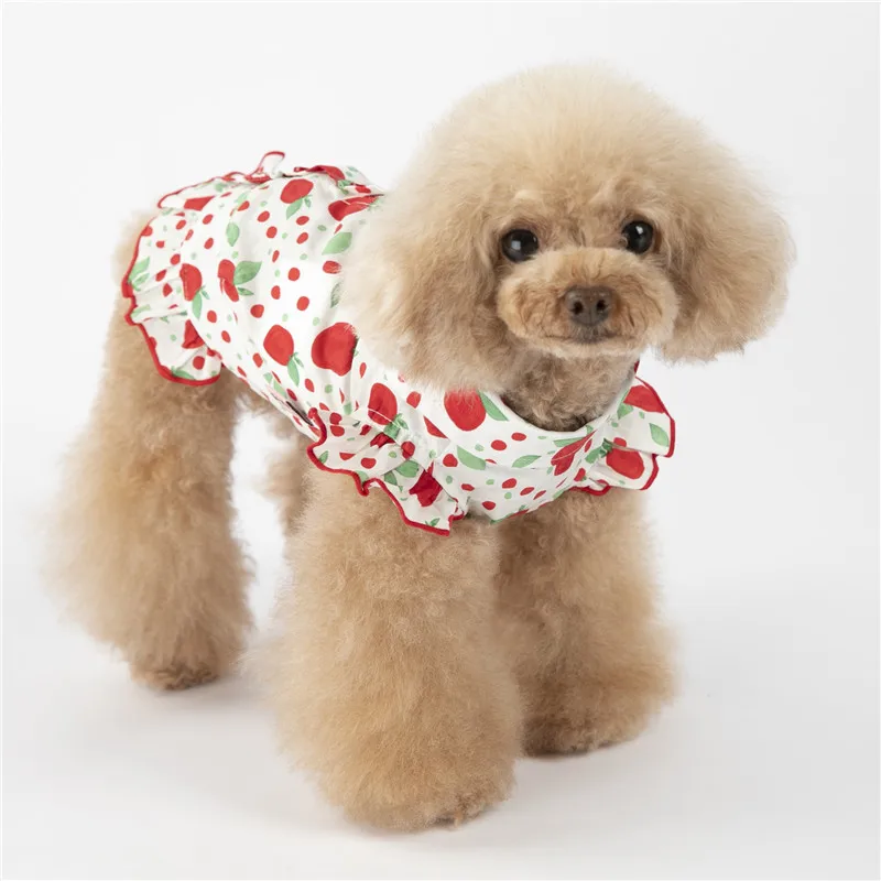 puppy dog shirt summer small dog (12)