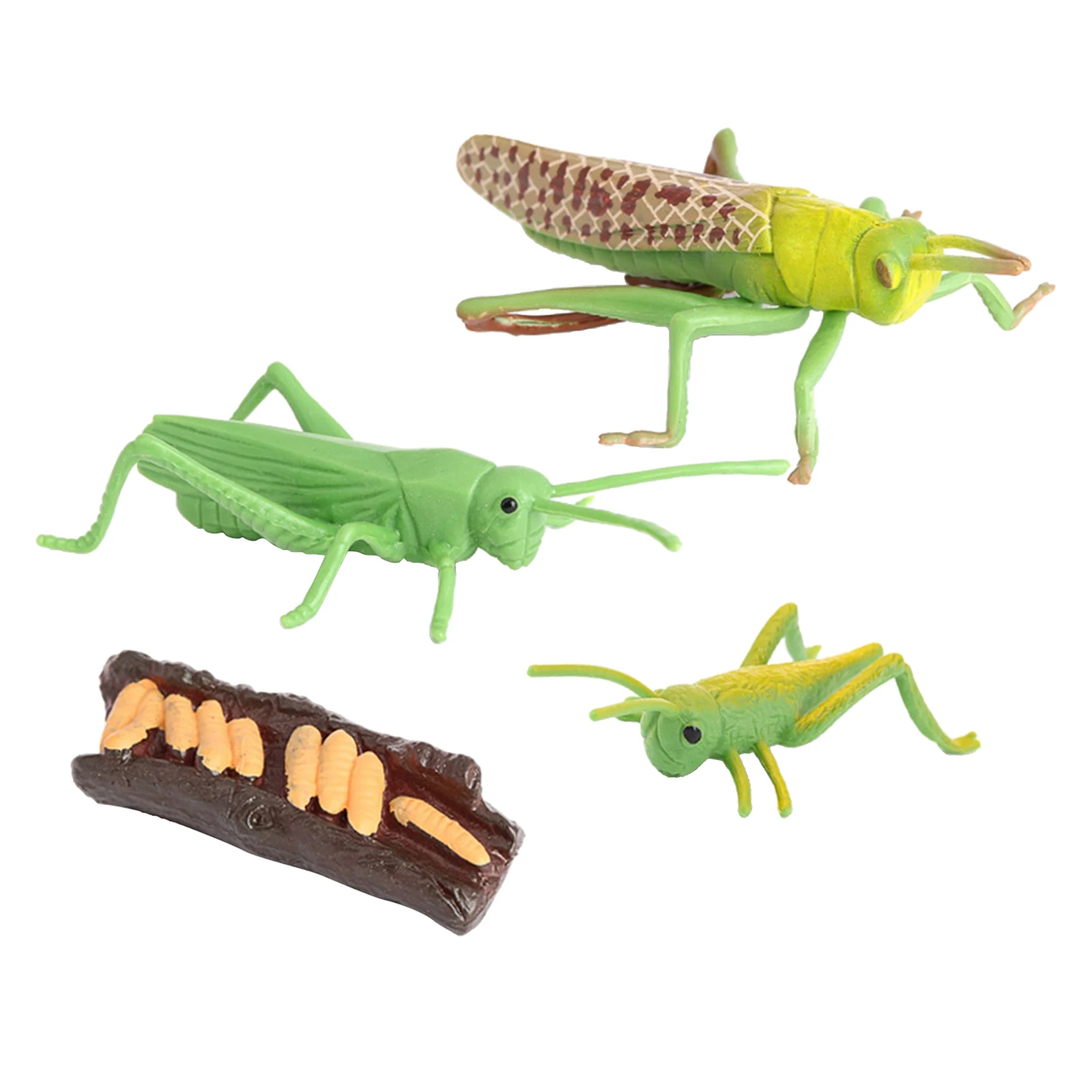 Nature Grasshopper Growth Pre- Kids Early Education Toys Themed Party