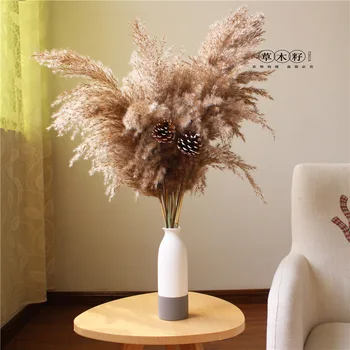 

5/10/20 Pcs Natural Pampas Decor Grass Home Wedding Decoration Phragmites & Reed Bunch Flowers Dried Reed Bouquet Home Ornament