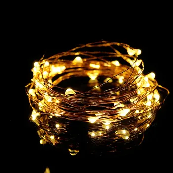 

Indoor Outdoor USB Copper Wire Decorative 50 LED String Lights