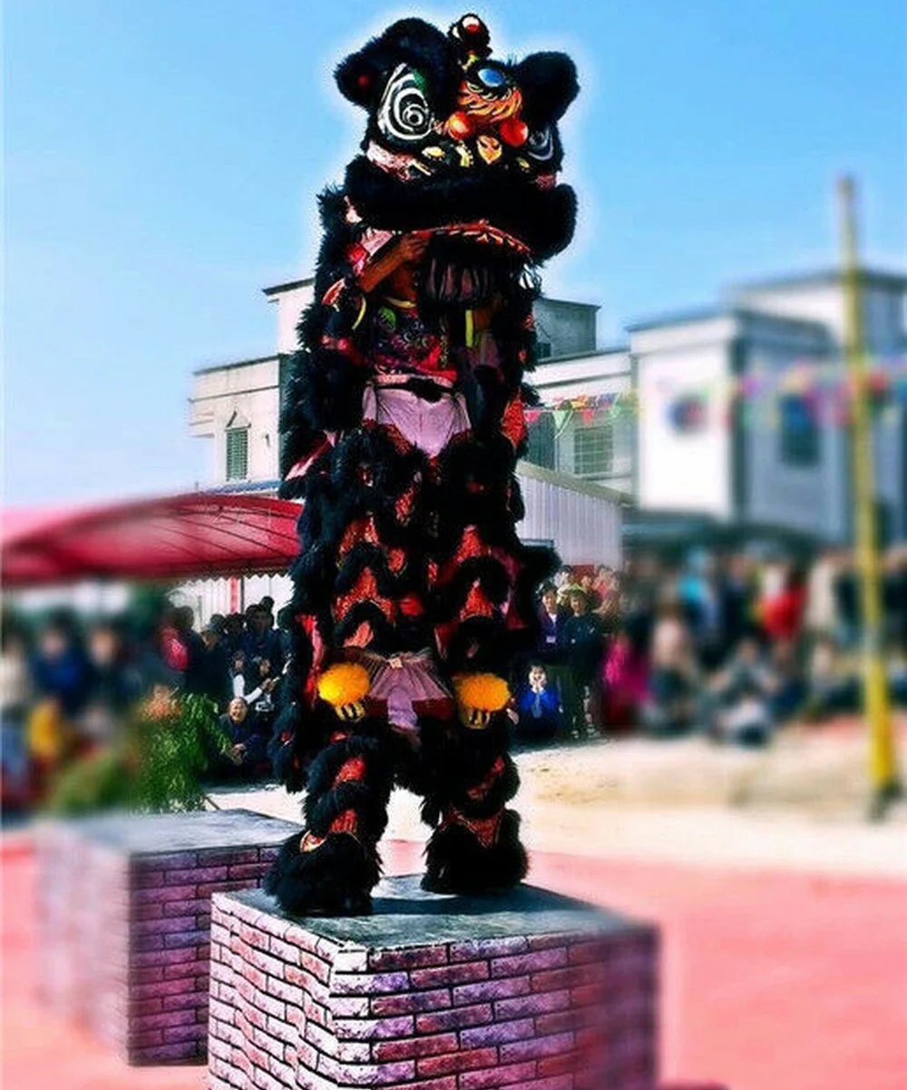 Lion Dance Mascot Costume Wool Southern Black China Folk Art for Two Adults Advertising Promotion Carnival Halloween | Тематическая