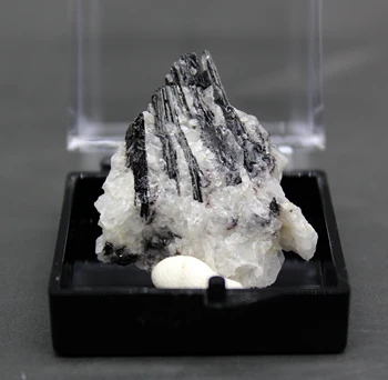 

100% natural Wolframite and silica symbiotic mineral specimen stones and crystals collection gemstones quartz healing crystal