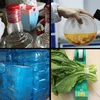 2 Roll /200 Meters PE Environment-friendly Wrapping Film Baling Film Packing Takeaway Sealing Plastic Wrap thickness 0.015mm 6