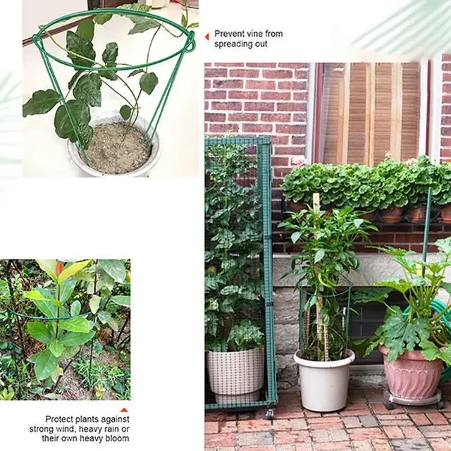 2Db Növényi Támogató Állványvirágok Gyűrű Félkerekű Fém Tartó Tétek Bonsai Kerti Szerszámok - Image 3