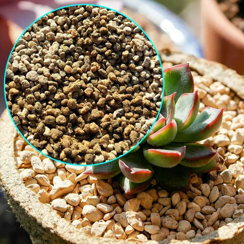 

1 Bag Mini Potted Bonsai Plant Dedicated Orchard Soil Nutrition Soil Volcanic rocks Kiryu Sand