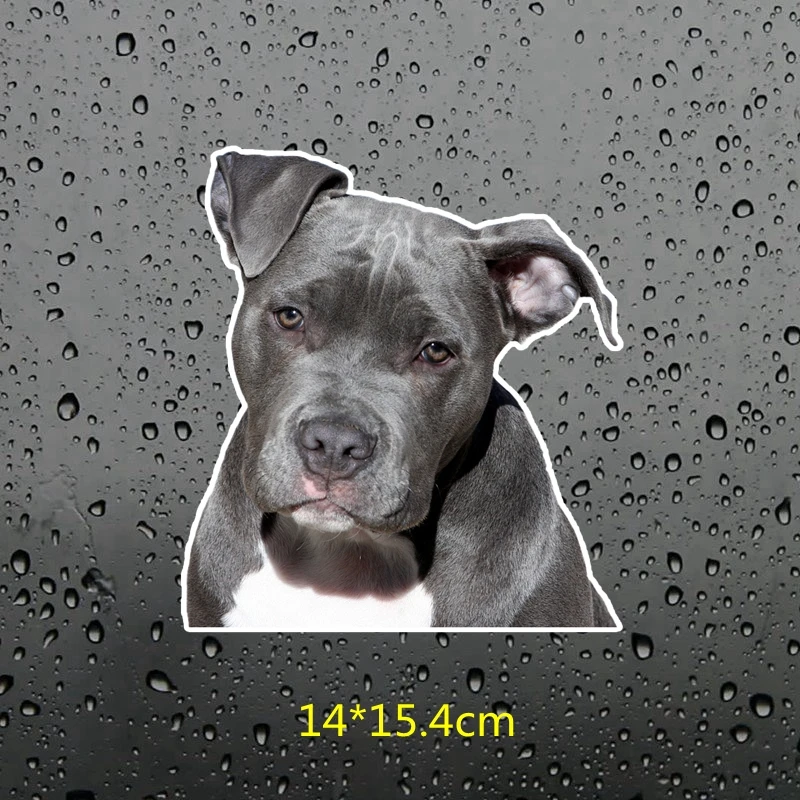 Three ratels FTC-804# 14x15.4cm cute American pit bull terrier American Staffordshire dog Window Decals Car Styling Car Sticker - Color Name: FTC-804A colorful