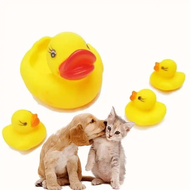 rubber duck dog toy that quacks