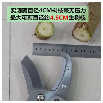 

Gardening Scissors High Branch Shears Fruit Tree Shears Coarse Branch Shears Strong Scissors Garde