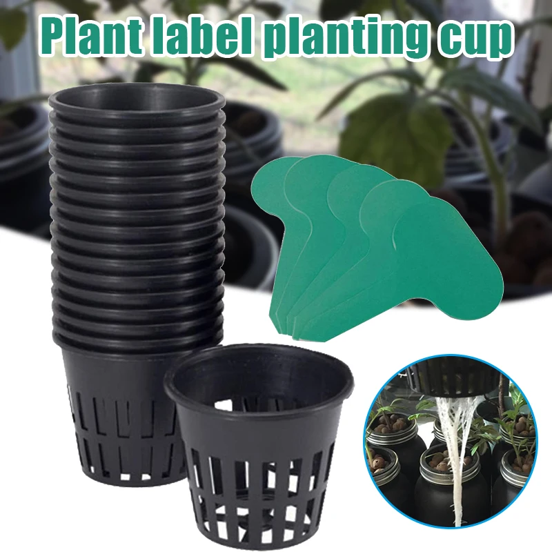 12 Planting Baskets Fixed Value Cups With Plant Labels Garden Plants