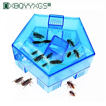 

DXBQYYXGS From Cockroaches Cockroach Trap Upgrade Safe Efficient Contains Bait You Can Use Food As Bait For Unlimited Use