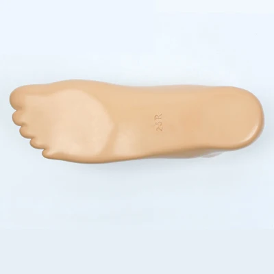Prosthetic Foot Board Carbon fiber feet Cover Sleeve Skin 22～27cm Accessories Parts Artificial Limbs Ortheses Prostheses