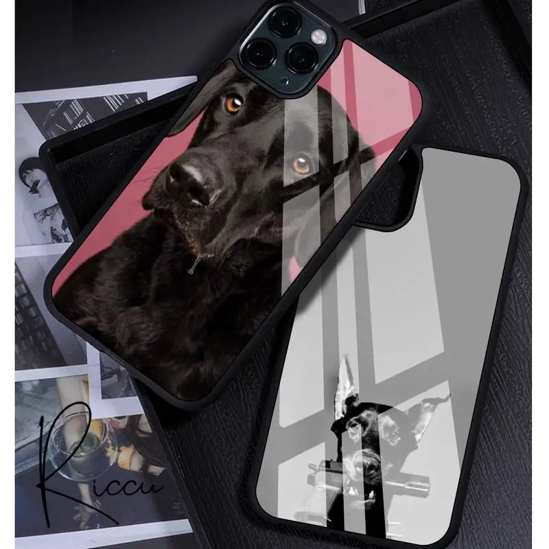 Доберман животных Собака Чехол для мобильного телефона из резины iPhone 12 11 Pro Max XS 8 7