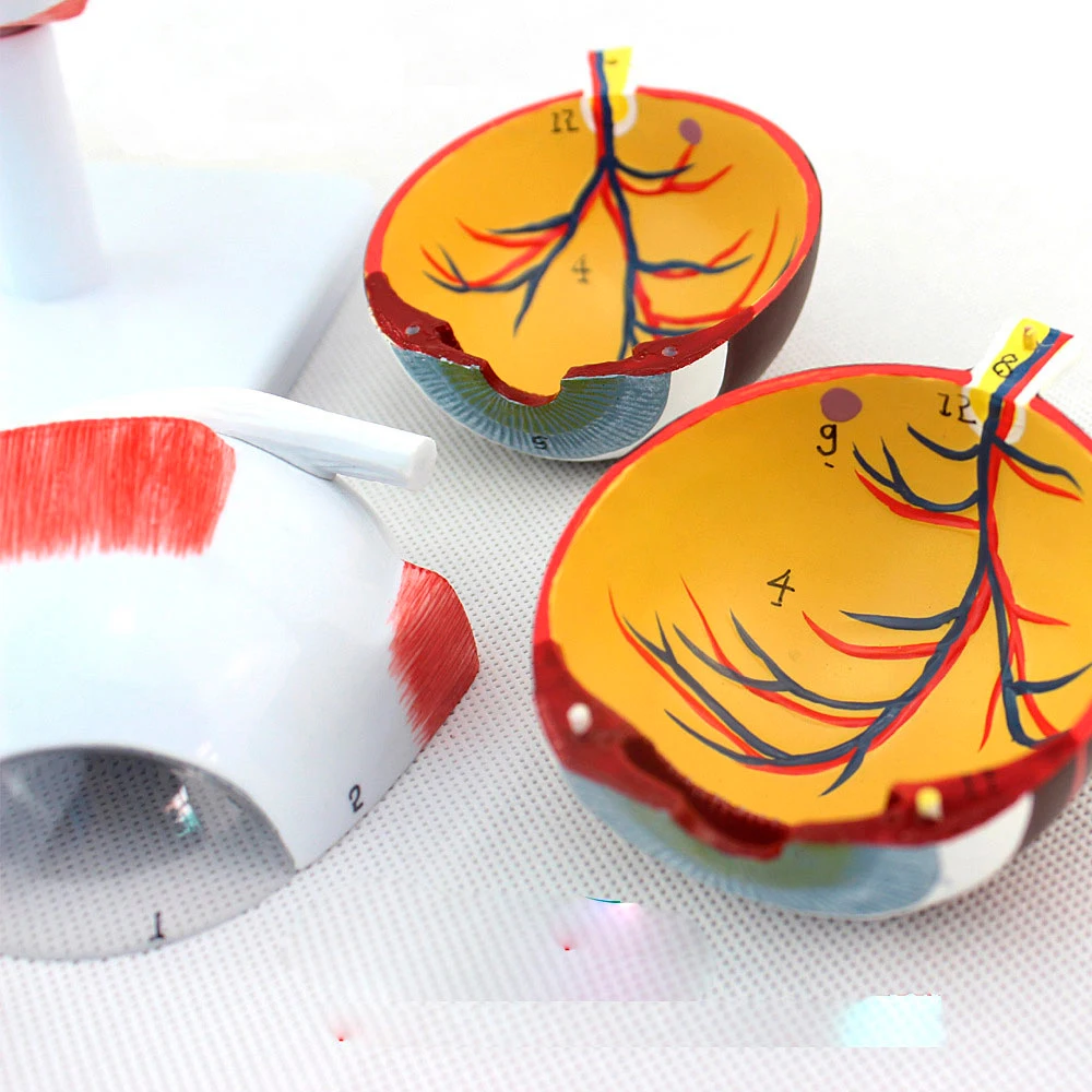 HTB1jpt2VSzqK1RjSZFLq6An2XXaZ-(1)