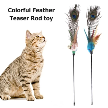 

Bell Peafowl Feather Teaser Rod Cat Interactive Pet Plastic Playing Set Interactive Pet Playing Funny Molar Wand Toys