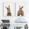 Bunny Rabbit Tail Wall Art Woodland Animal Poster Canvas Painting Nursery Print Children Picture Nordic Kids Baby Room Decor 1