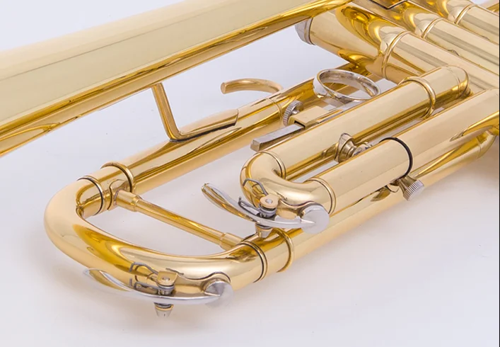 QQ图片20200219122451