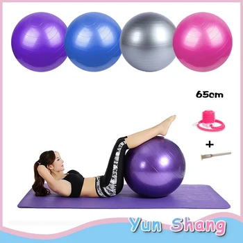 

Anti Burst Explosion Proof Massage Ball PVC Yoga Balance Ball 65cm Yoga Ball 1 Pcs Bouncing Swiss Abs Ninja with Pump