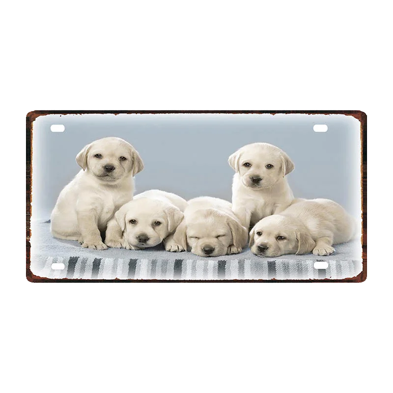 Кошка Собака 30X15 см номерной знак животных металлический знак для Wall Art Pet Shop Ресторан Хоум Винтаж декор 30X15 см DDC-0019A - Цвет: DC-0023