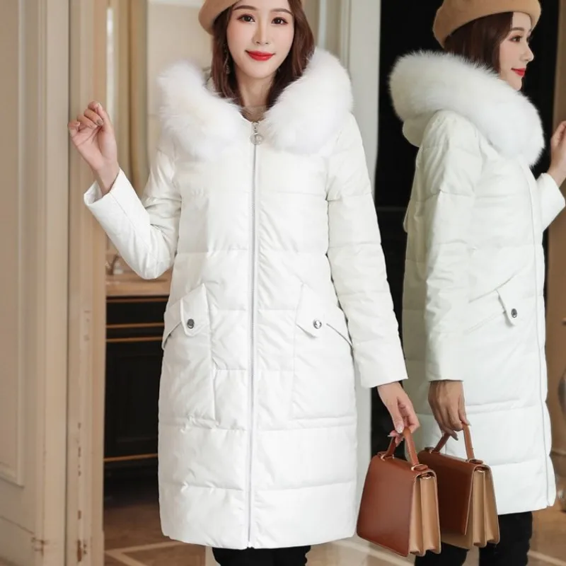 conew_11866192259_895323738