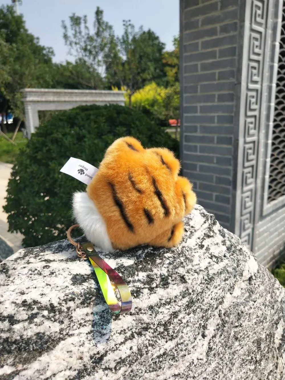 IMG_8555(20200828-151751)