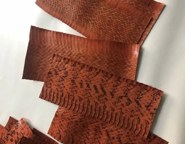Натуральной Змеиной кожи штук 7 см x 20 см - Цвет: WS030