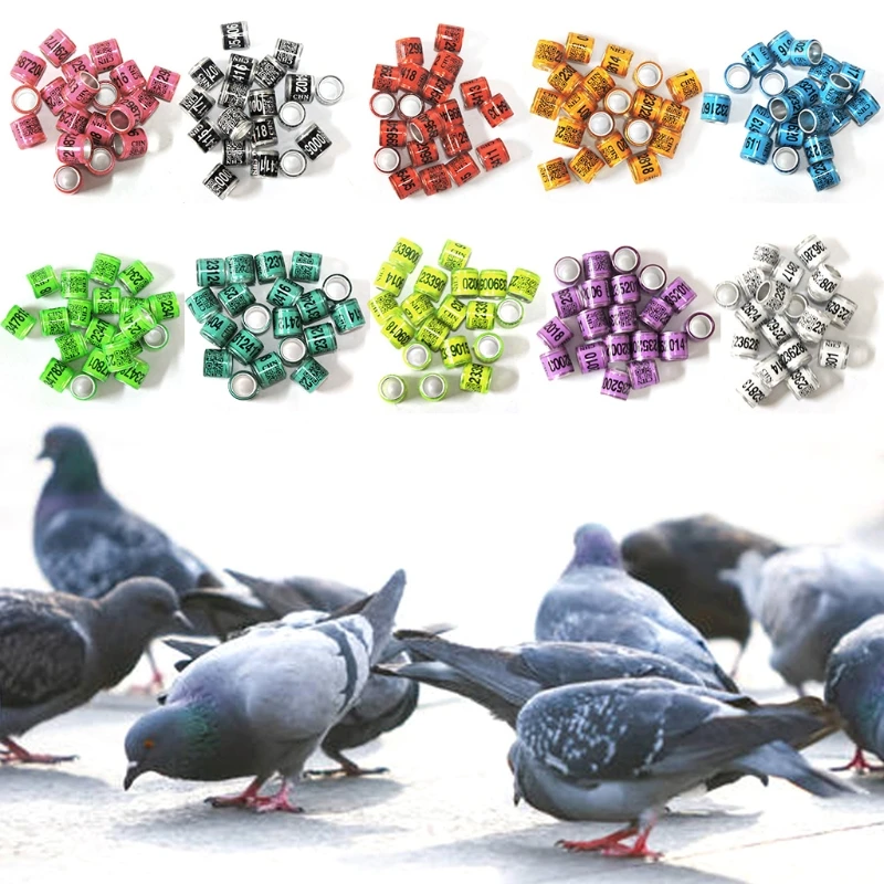 50 Pcs Mixed Color Dove Bands Bird Foot Ring Species Identify Training Rings Pet Bird Label Sign for Pigeon Dove Chicks Small Po