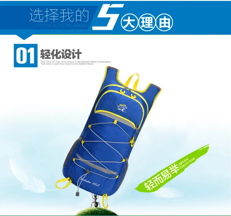 4531856955_349129234