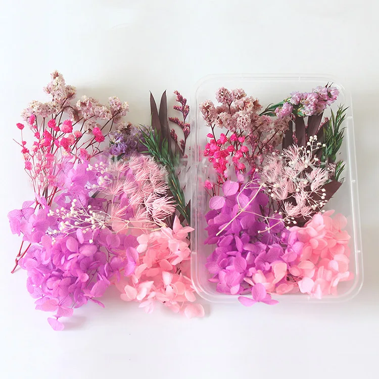 1 Box Real Dry Flower Dried Plants Natural Colorful DIY Frame Fan Embossing Materials Aromatherapy Candle Making Home Decoration 