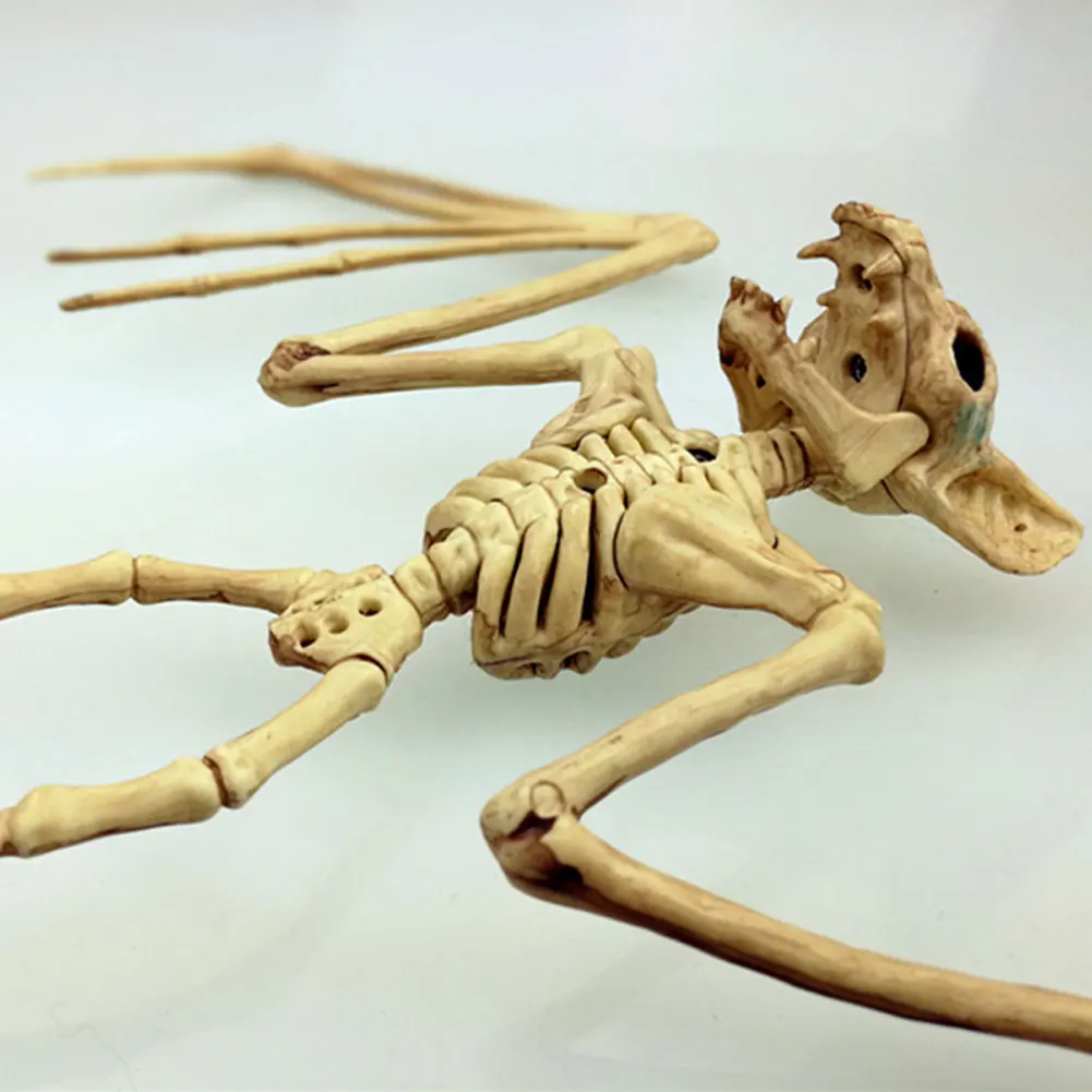 В виде скелета на Хэллоуин кошка собака мышь Опора кости животных вечерние украшения магазина ужас