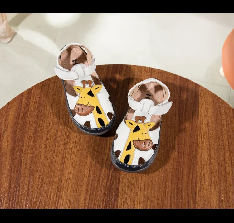 8775736455_1143530160