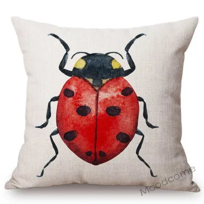 conew_n311 (10) 副本