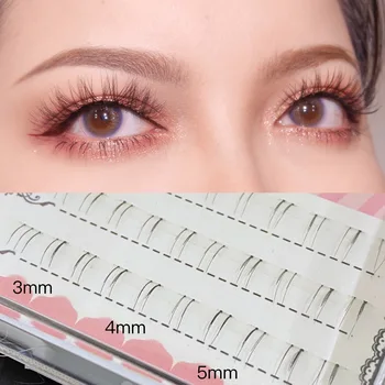 

False Eyelashes Segmented Lower Eyelashes Have Been Cut Natural Short Face without Makeup Nude Makeup Sharpening Lower Eyelashes