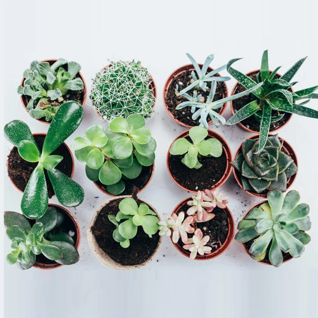 10Db 10*10 Cm Műanyag Virágcserép Háló Pad Alsó Rács Szőnyeg Megakadályozza A Talajveszteség Szivárgásbiztos Korróziógátló Lélegző Hálóját - Image 6