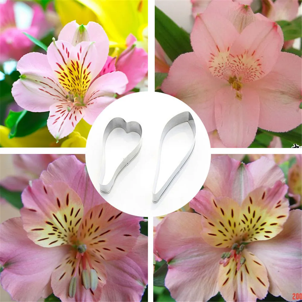 

Pastry Clay Mold New Stainless Steel Flower Cutting Flower Petals Molding Cutter Soft Mould Tools