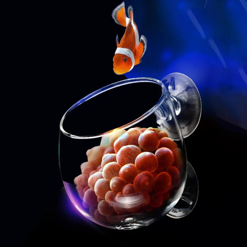 DW Aquarium Marine Salt Water Anemone Lair Reef Coral Home Lps Cup Nest Accessories pet tanks acuario terrarium | Дом и сад