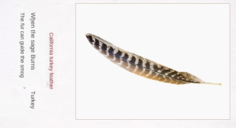 H7be788d28cb242a68ceb79645b7081fcx.jpg?width=790&height=430&hash=1220